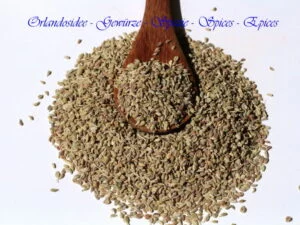 Ajowan Königskümmel – aromatische Samen mit würzigem Thymian-Duft aus Indien