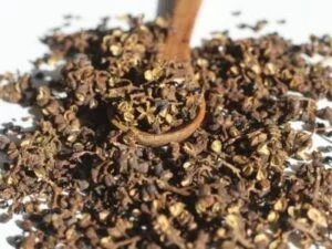 Andaliman Pfeffer ganze Beeren aus Sumatra – exotischer Zitrus-Pfeffer