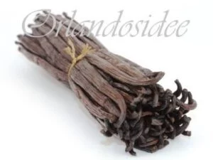 Gewürze, Pfeffer, Vanille & Safran online kaufen | Orlandosidee 7 Bourbon Vanilleschoten kaufen – echte Vanille für Backen und Desserts