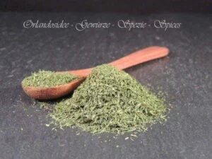 Dillspitzen – aromatisches Kräuterkraut mit frischer, leicht süßlicher Note