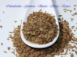 Dillsamen – aromatische Samen mit fein-herbem Geschmack aus Indien