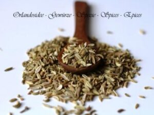 Fenchelsamen – aromatische, süß-würzige Samen für Tee, Brot & Gemüse