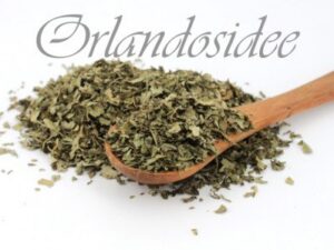 Korianderblätter – aromatische, frische Kräuter mit zitrusartig-würzigem Geschmack