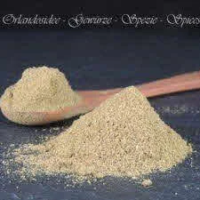 Kreuzkümmel gemahlen unser Cumin Pulver – fein gemahlenes, aromatisches Gewürz aus Indien