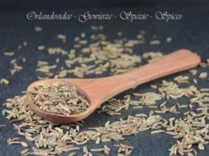 Kreuzkümmelsamen – aromatisches Gewürz mit erdig-würzigem Geschmack für Currys & orientalische Küche