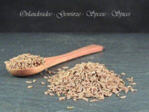 Kümmelsamen – ganze aromatische Samen mit warm-würzigem, leicht erdigem Kümmelaroma