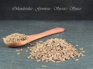Kümmelsamen – ganze aromatische Samen mit warm-würzigem, leicht erdigem Kümmelaroma