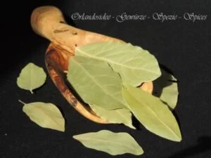 Lorbeerblätter – aromatische getrocknete Blätter mit warmem, würzigem Duft