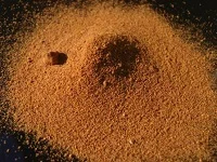 Muskatnuss gemahlen– fein aromatisches Gewürz für Kartoffelgerichte, Suppen & Gebäck