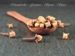 Gewürznelken – getrocknete Nelkenknospen mit intensiv-warmem Aroma für süße & herzhafte Gerichte