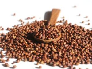 PParadieskörner ganz kaufen – aromatisches Pfeffergewürz