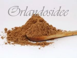 Pimentpulver – fein gemahlenes Allgewürz mit süß-würzigem Aroma für Fleisch, Gebäck & Marinaden
