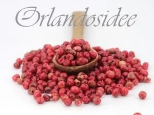 Rosa Pfefferbeeren – mild-würzige Beeren mit süßlich-fruchtigem Aroma