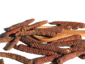 Roter Langer Pfeffer kaufen – Piper longum