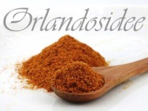 Tandoori Masala indische Gewürzmischung