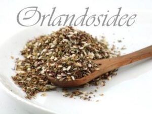 Za’atar nordafrikanische Gewürzzubereitung