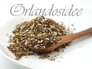 Za’atar nordafrikanische Gewürzzubereitung
