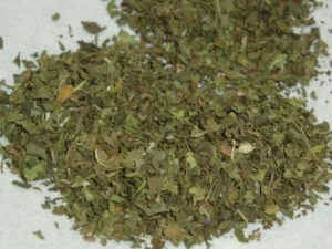 Minze – frisches, aromatisches Kraut mit kühler, mentholiger Note