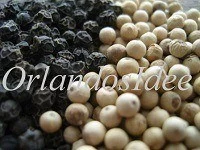 Weißer Pfeffer aus Kamerun – aromatische Pfefferkörner mit feiner Schärfe