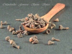 Zimtblüten kaufen – getrocknete Kassienblüten vom Cassia Zimtbaum