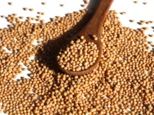 Gelbe Senfkörner – ganze, aromatische Samen (Sinapis alba) zum Würzen & für selbstgemachten Senf