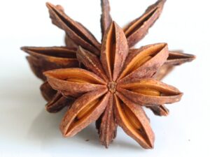 Sternanis – Illicium verum, aromatisches Badian-Gewürz aus China