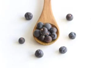 Wacholderbeeren – aromatische, getrocknete Beeren (Juniperus communis) zum Würzen von Wild, Sauerkraut & Gin