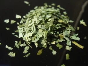 Bärlauchblätter – aromatische Kräuter mit frischem, knoblauchähnlichem Geschmack