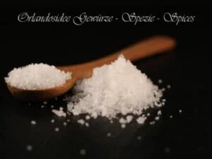 Fleur de Sel de Guérande – handgeschöpftes französisches Meersalz aus den Salzgärten von Guérande