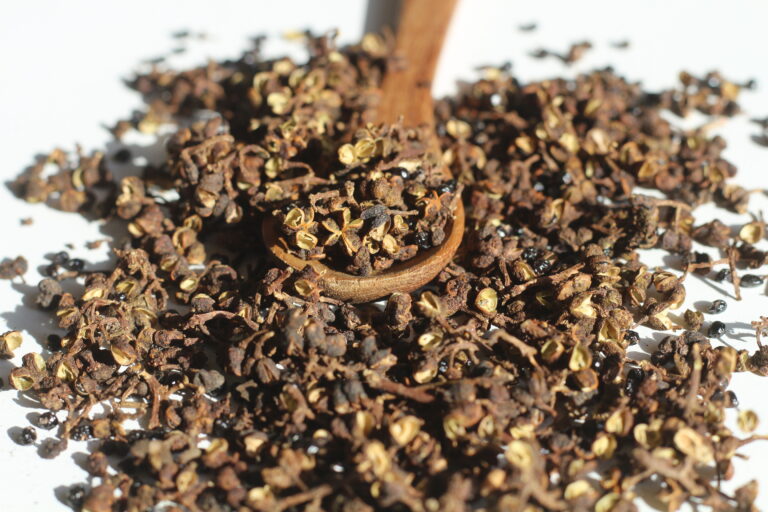Andaliman Pfeffer – Herkunft, Aroma & Verwendung 3 Andaliman Pfeffer Herkunft Aroma Verwendung als indonesischer Zitruspfeffer