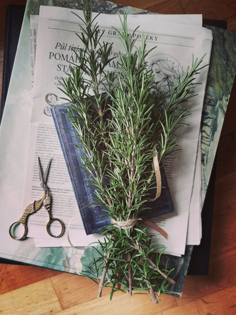 Rosmarin: Aroma, Verwendung und wozu er besonders gut passt 1 Rustic flat lay of rosemary sprigs on vintage books with scissors nearby, evoking natural aesthetics.