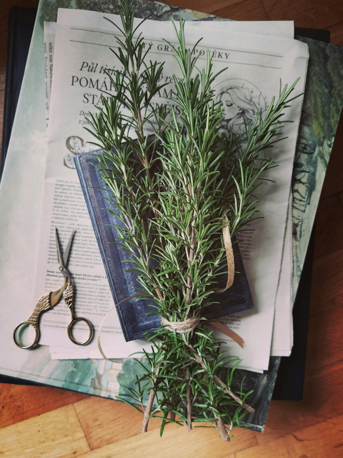 Rustic flat lay of rosemary sprigs on vintage books with scissors nearby, evoking natural aesthetics.