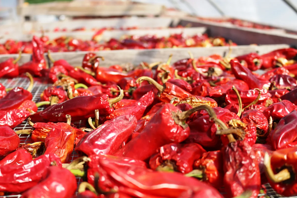 Chili Wissen – Sorten, Schärfegrade, Paprika und Verwendung Verschiedene Chilis, Chiliflocken, Paprikapulver und getrocknete Chilis als Symbol für Chili Wissen, Schärfegrade, Sorten und Verwendung