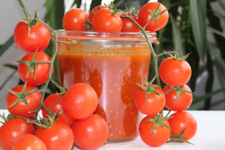 Frische Tomaten und Tomatensauce