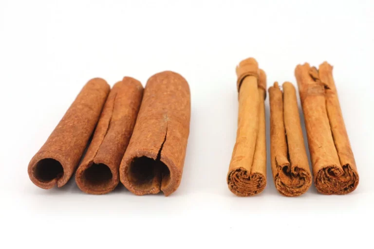 Zimt Kinder Schwangerschaft mit Ceylon Zimt und Cassia Zimt verständlich erklärt