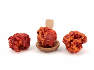 Carolina Reaper Chili ganz aus Ecuador
