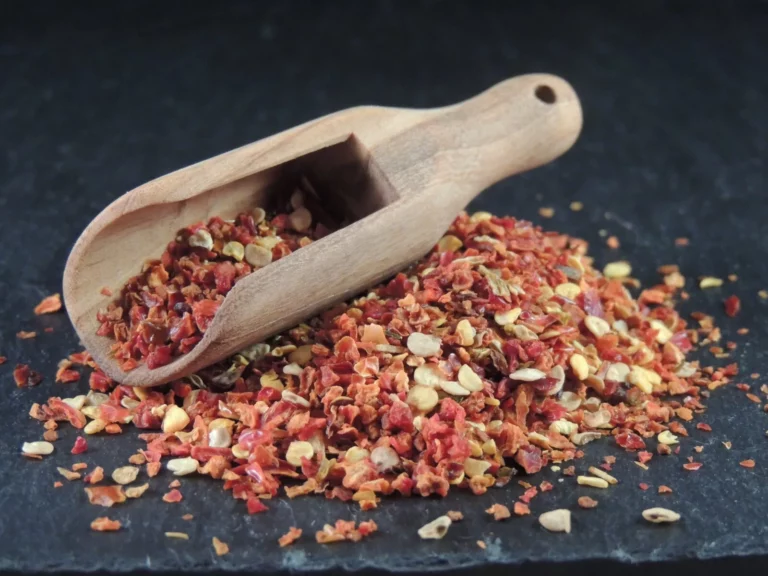 Rote Jalapeño Chili Schoten geschrotet