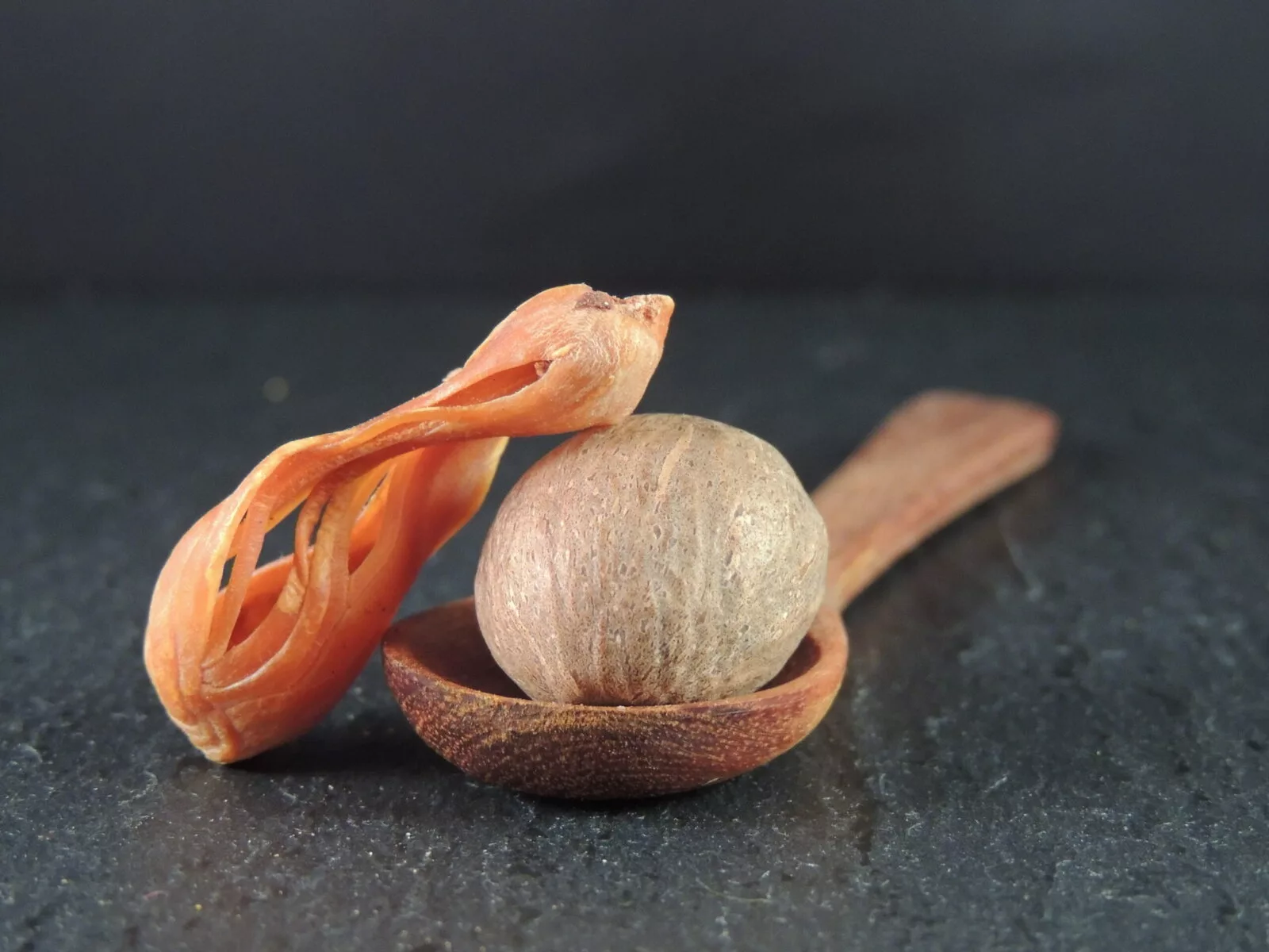Muskatnuss Wissen – Herkunft, Aroma und Verwendung Ganze Muskatnüsse und Muskatblüte als Symbol für Muskatnuss Wissen, Herkunft, Aroma und Verwendung